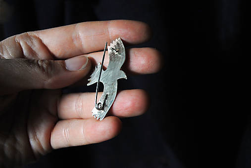 Strieborná brošňa Havran