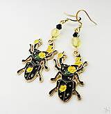 Náušnice - Handmade náušnice roháče - chirurgická oceľ - 17796841_