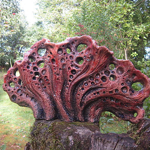 Sochy - Podmořský svět - 17796951_