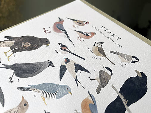 artprint // vtáky