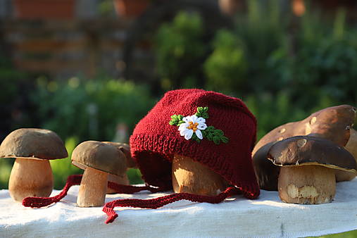 Detské čiapky - Jesenný čepiec s kvetinovou výšivkou - 17796526_