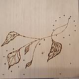 Pre zvieratá - Vtáčia búdka pre žltochvosta FOoFO - lístie - 17801228_