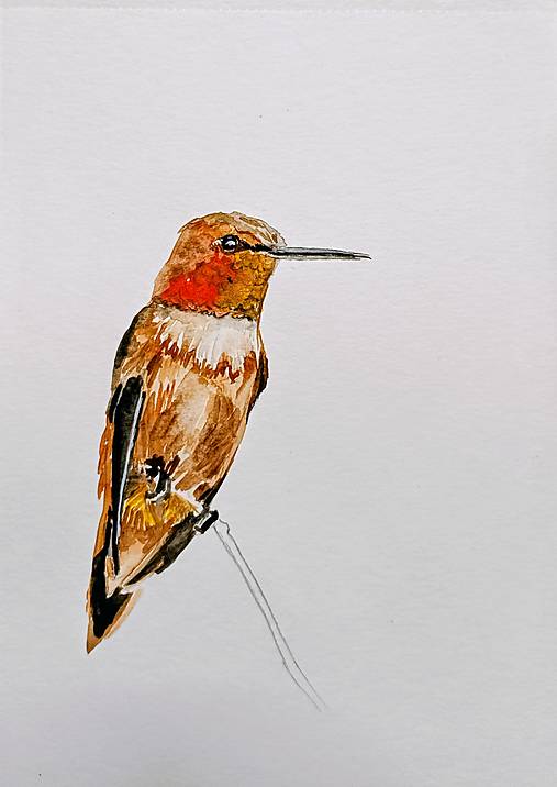 Kresby - kolibríčok - 17799004_