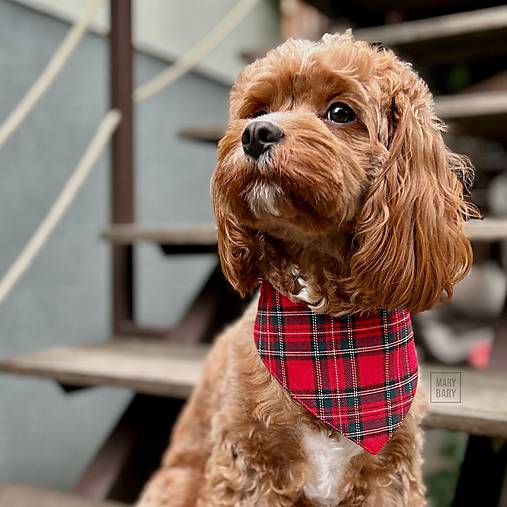Pre zvieratá - MARYBARY Štýlová bandana / šatka pre psa - károvaná červená - 17808714_
