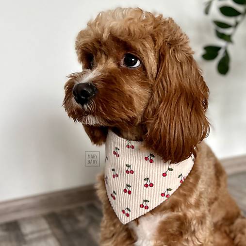 Pre zvieratá - MARYBARY Štýlová bandana / šatka pre psa - krémová s mini čerešňami - 17808722_