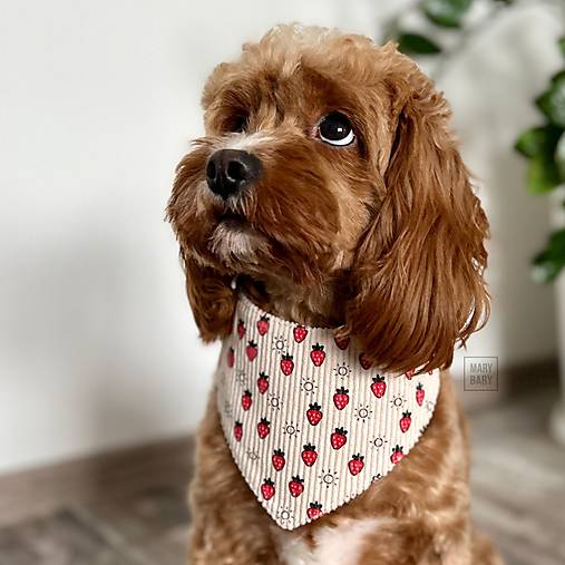 Pre zvieratá - MARYBARY Štýlová bandana / šatka pre psa - krémová s mini jahôdkami - 17808725_