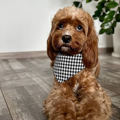 Pre zvieratá - MARYBARY Štýlová bandana / šatka pre psa - kohútia stopa - 17808730_