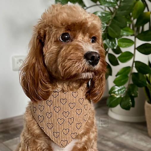 Pre zvieratá - MARYBARY Štýlová bandana / šatka pre psa - bledohnedá do srdiečkami - 17808736_