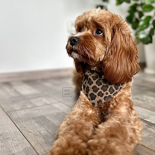 Pre zvieratá - MARYBARY Štýlová bandana / šatka pre psa - čokohnedá leopardia - 17808738_