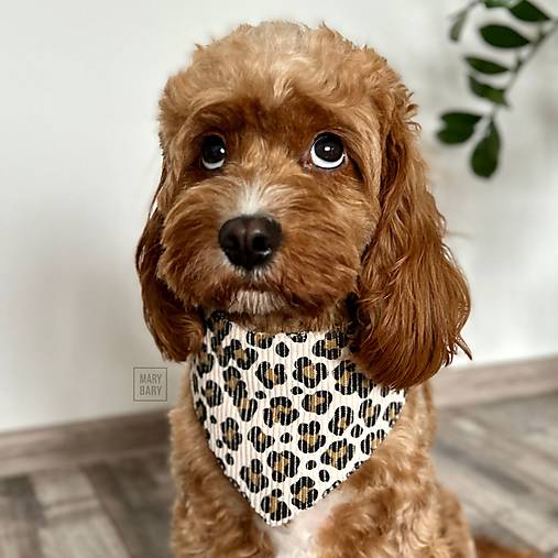 Pre zvieratá - MARYBARY Štýlová bandana / šatka pre psa - krémová leopardia - 17808740_