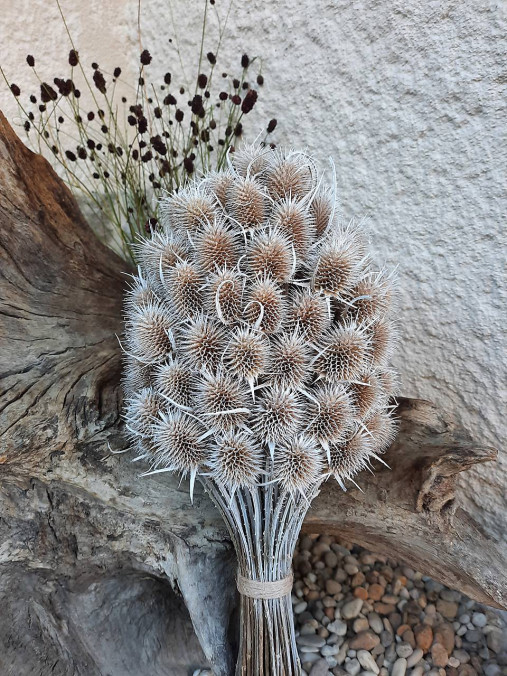 Dekorácie - Bodliaková kytica - 17809360_