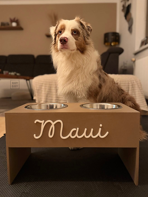 Pre zvieratá - Vyvýšený stojan na misky pre psa Simple BÉŽOVÝ - viac veľkostí - 17813607_