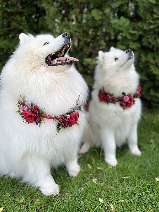 Obojok "šum lesných spomienok" - M a L (M)