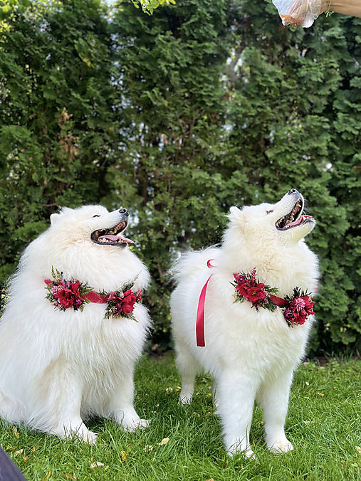 Obojok "šum lesných spomienok" - M a L (M)