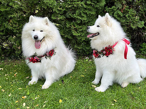 Obojok "šum lesných spomienok" - M a L (M)