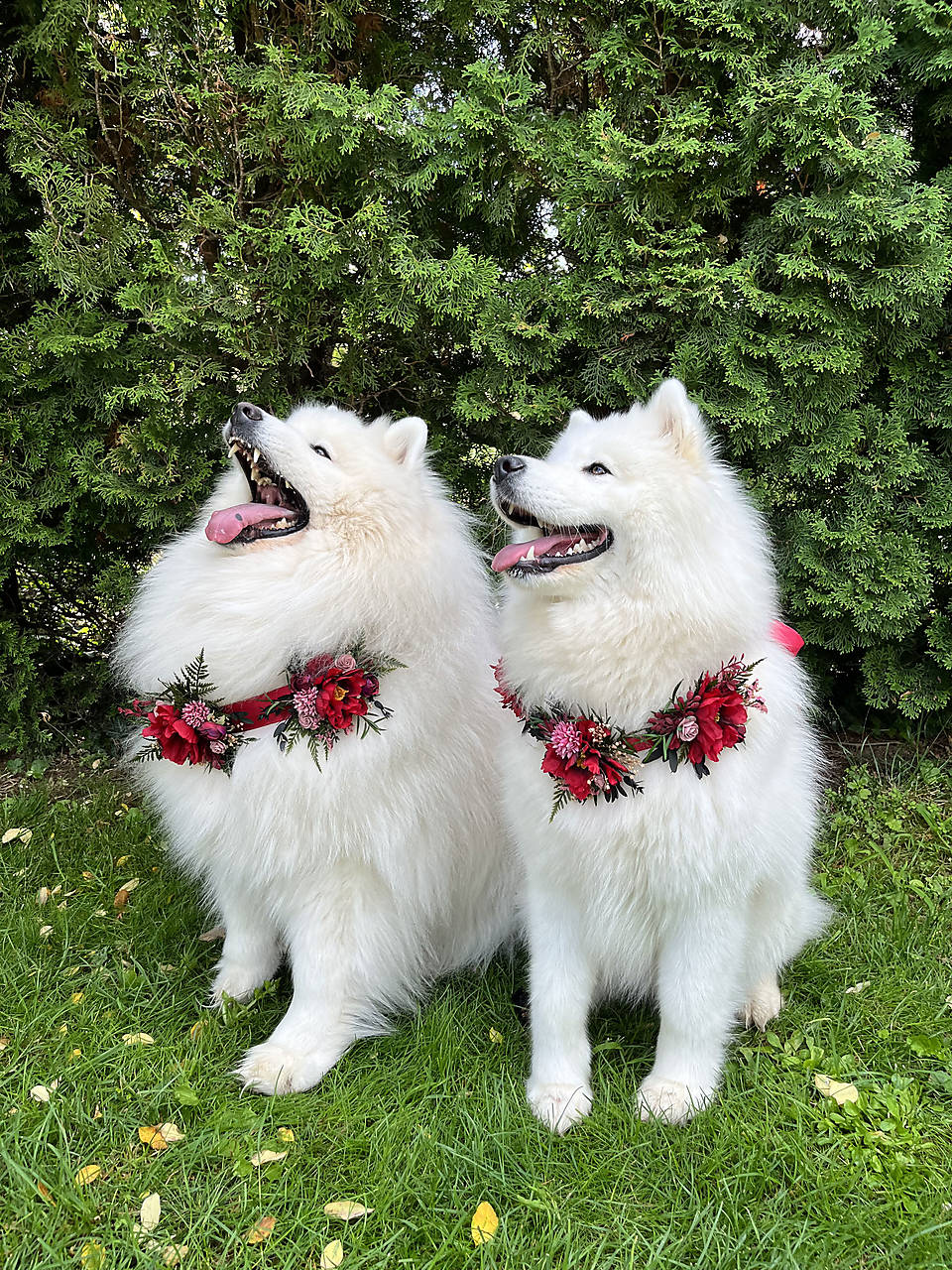 Obojok "šum lesných spomienok" - M a L