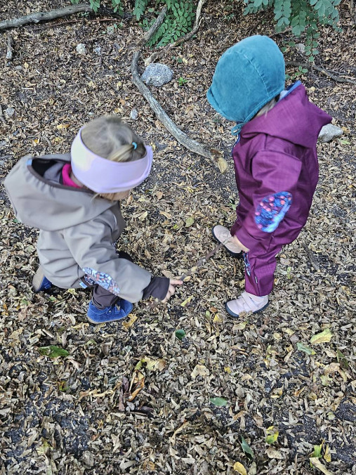 Softshellový overal s barančekom "rabbit&fox"