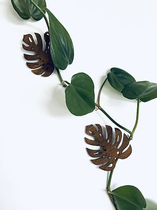 Dekorácie - Úchytky na stenu pre ťahavé rastliny - 17830355_