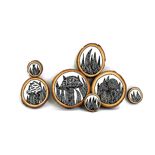 Magnetky - SADA MEGNETIEK Huby (7ks) - 17829589_