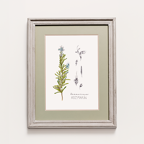 Obrazy - Set ilustrácií na mieru  - 17834177_