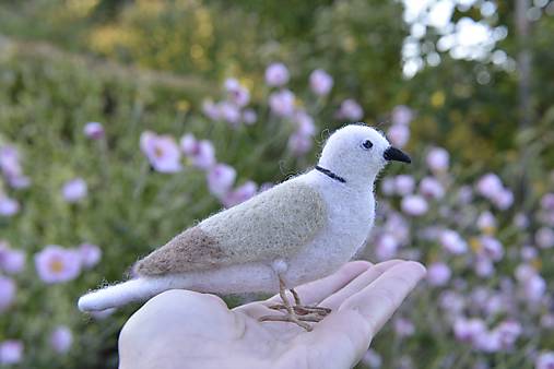 Kurzy - Kurz plstenia: Hrdlička, 25. a 26.11. v Bratislave - 17843916_