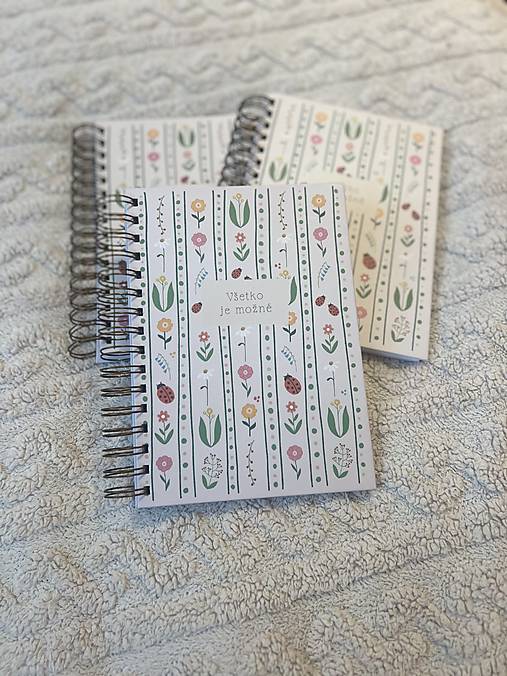 Zapisnik Všetko je možné A5