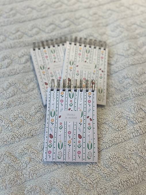 Zapisnik Všetko je možné A6