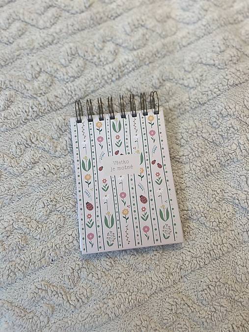 Zapisnik Všetko je možné A6