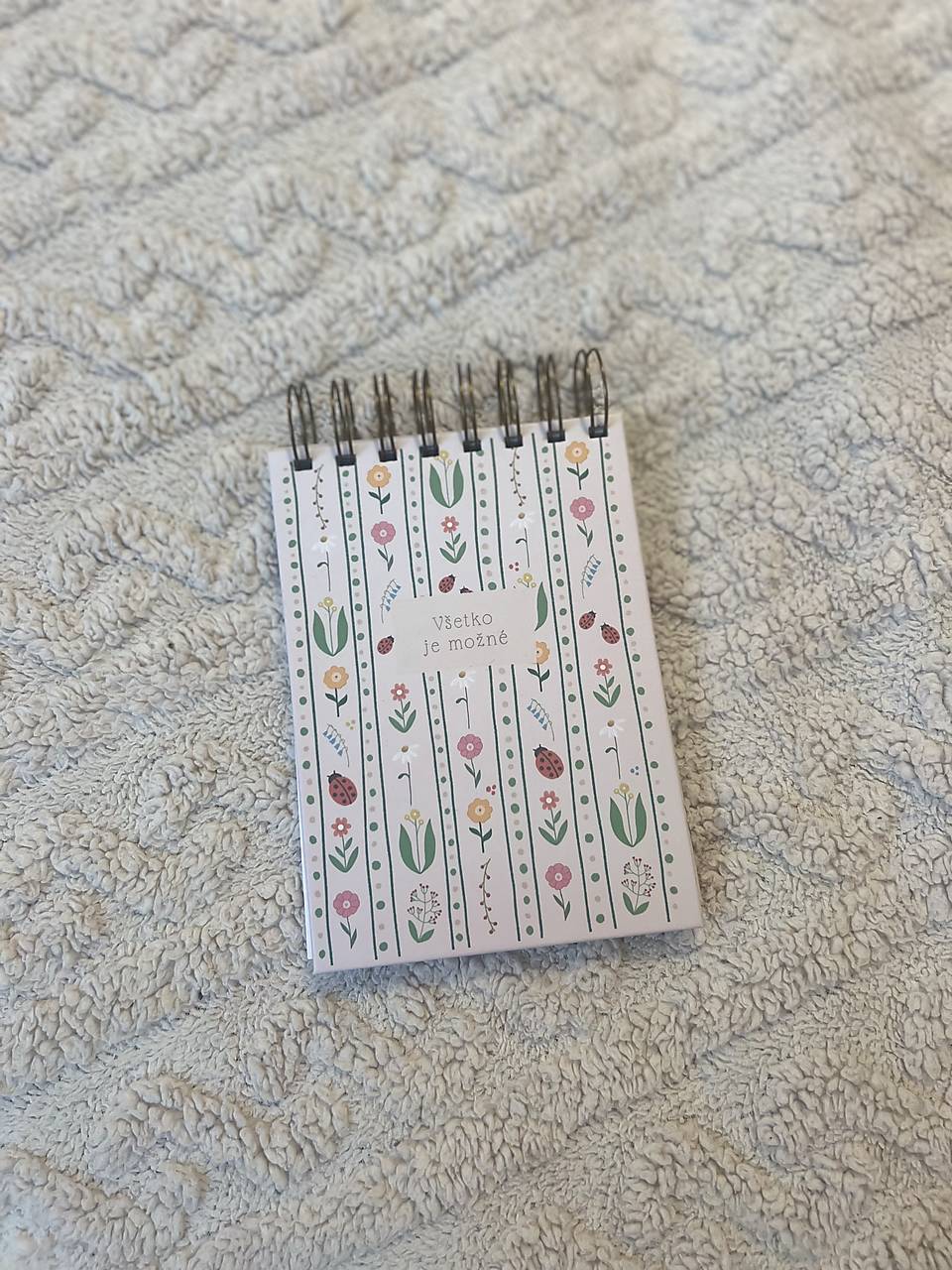 Zapisnik Všetko je možné A6