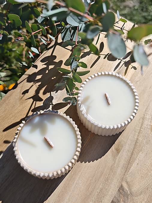 Sviečky - Sójová sviečka | Citrónová tráva a zázvor - 17853848_