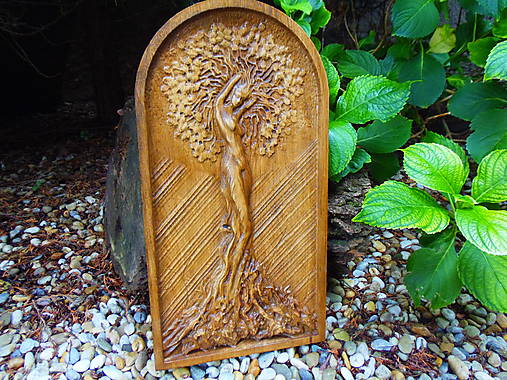 Obrazy - Strom života - žena - 17861401_