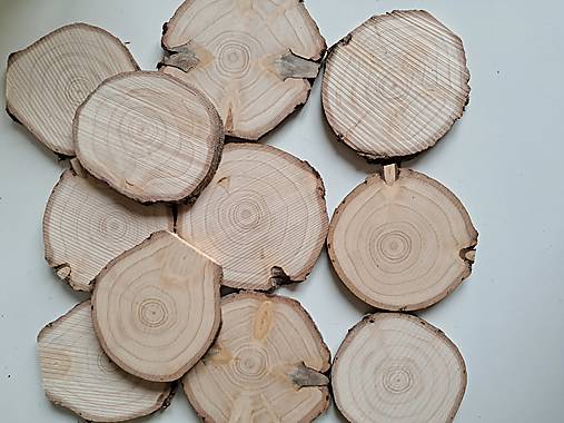 Dekorácie - Drevené plátky z vianočných stromčekov - priemer cca 7 - 8 cm, balenie 10+1 ks - 17859403_