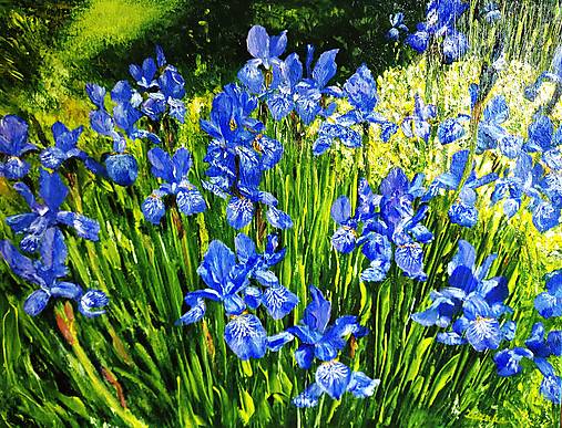 Obrazy - Očarujúce irisy. - 17860542_