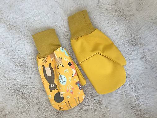 Softshelové rukavice M 3-5rokov (5)