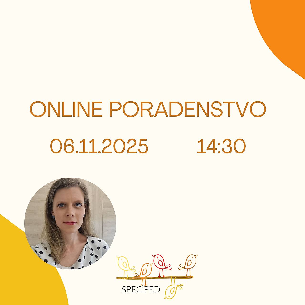 Online poradenstvo  (45 minut)