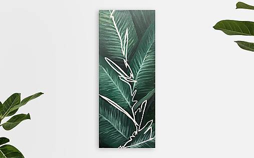 Obrazy - Botanica - 17864224_