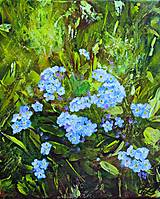 Obrazy - Nezábudky. - 17873552_