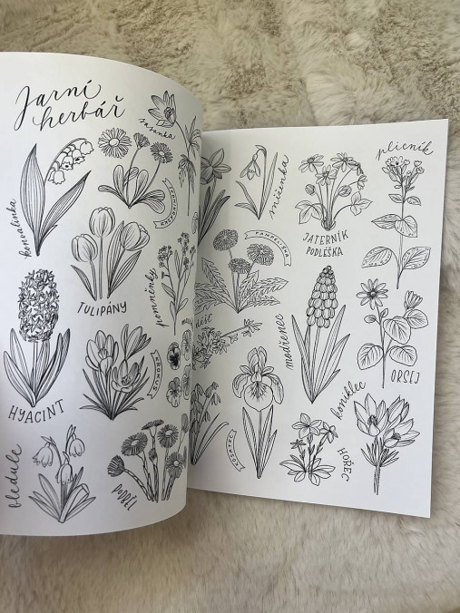 Omalovánky na celý rok OMAL1