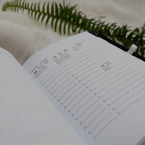 Diár  na rok 2026 TÝŽDENNÝ - Kosoštvorce Klimt