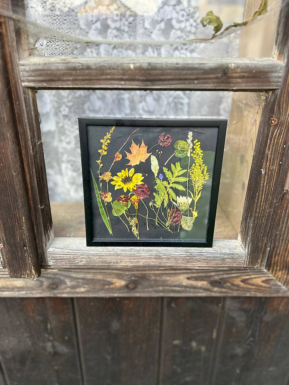 Lisovaná jeseň - čierna