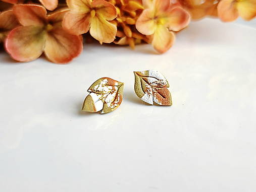 Náušnice - Liora-napichovacie náušnice v tvare lístkov - 17878096_