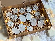 Dekorácie - Ozdôbky na stromček "večerná guľovačka" (Krabička (6 rukavičiek a 10 vločiek)) - 17880955_