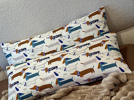 VANKÚŠE PSÍKOVE / SKLADOM