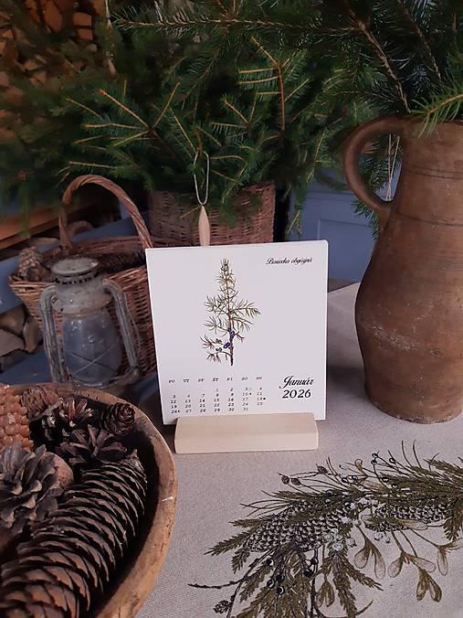 Papiernictvo - Kalendár byliniek a stromov v darčekovom balení 2026 - 17890753_
