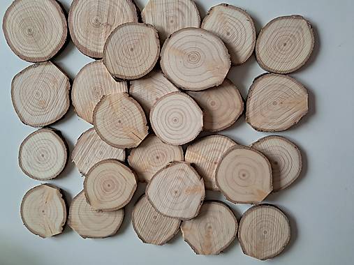 Dekorácie - Drevené plátky z vianočných stromčekov - priemer 5 - 6,5, balenie 25+2 ks - 17893707_