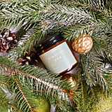  - Sójová sviečka Zakliaty les - 17894193_