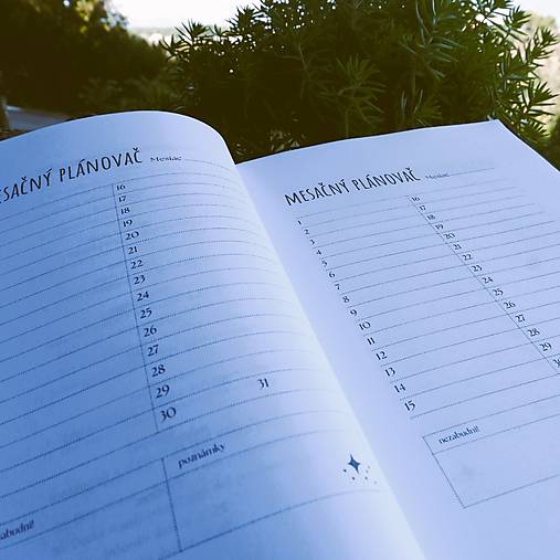 Diár  na rok 2026 TÝŽDENNÝ - A6 (Leopard)