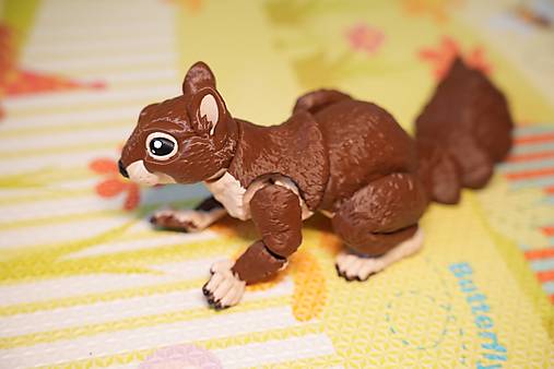 Lesná veverička s úsmevom 🐿️✨