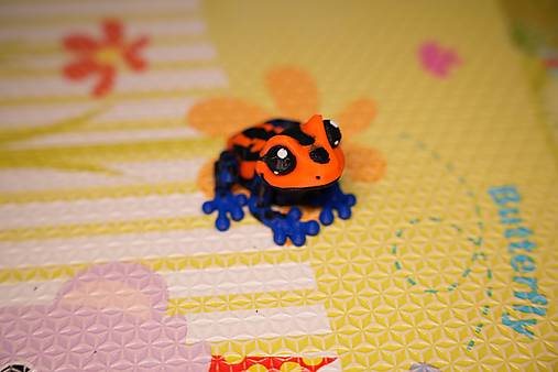 Farebná žabka – malá pralesná kráska