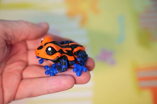 Farebná žabka – malá pralesná kráska